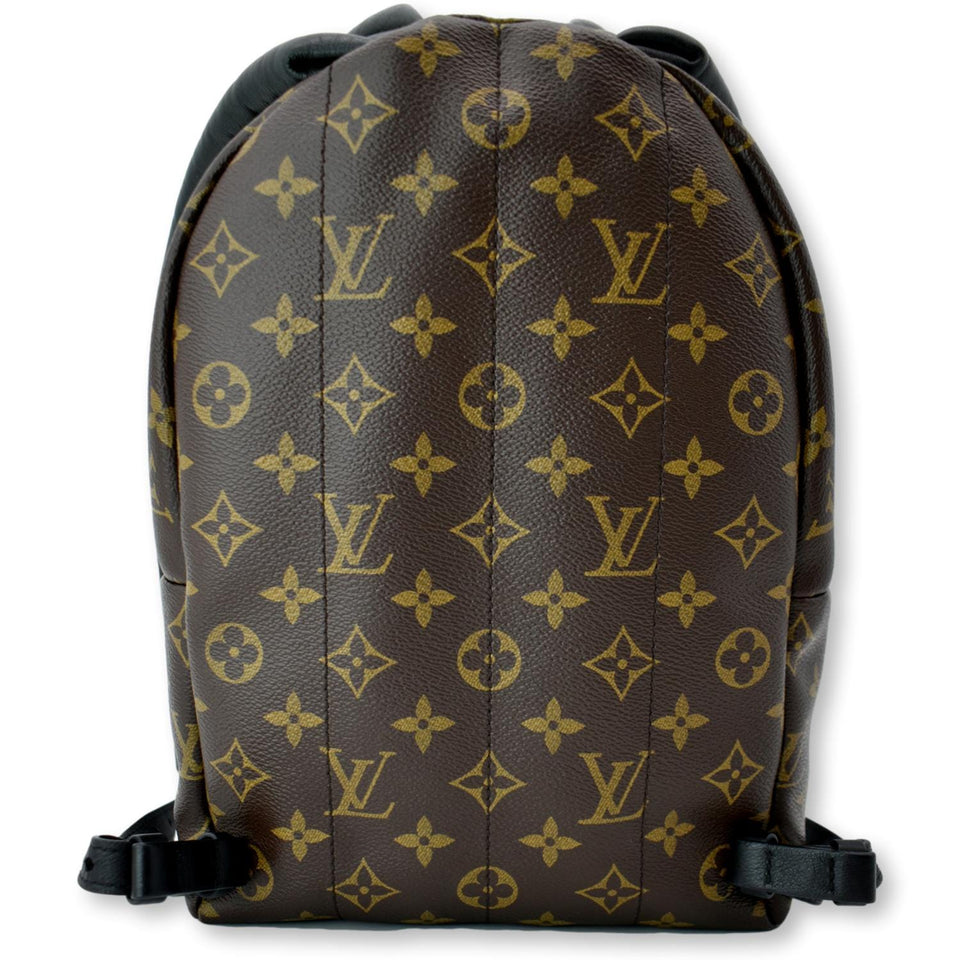 Louis Vuitton Palm Springs PM Monogram Canvas Backpack Brown