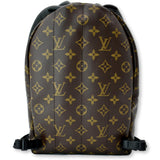 Louis Vuitton Palm Springs PM Monogram Canvas Backpack Brown