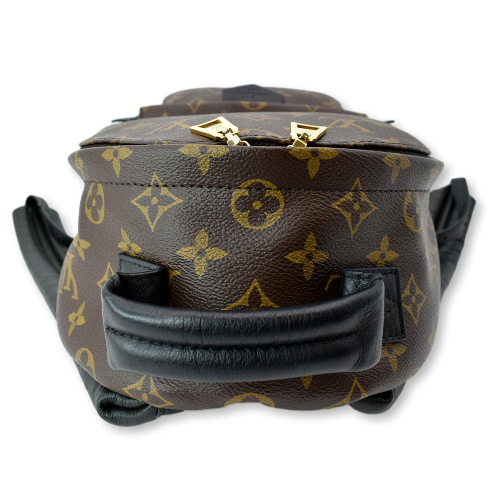 Louis Vuitton Palm Springs PM Monogram Canvas Backpack Brown