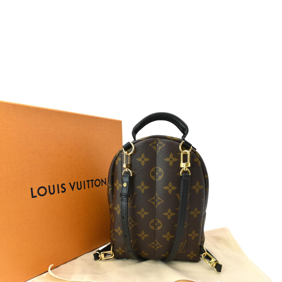 Louis Vuitton Palm Springs Mini Monogram Canvas Backpack Brown