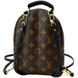Louis Vuitton Palm Springs Mini Monogram Canvas Backpack Brown