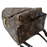 Louis Vuitton Palm Springs Mini Monogram Canvas Backpack Brown