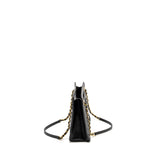Chanel 23S Clutch Bag With Chain Calfskin Black Brush  (microchip)