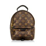 Louis Vuitton Palm Springs Backpack Mini