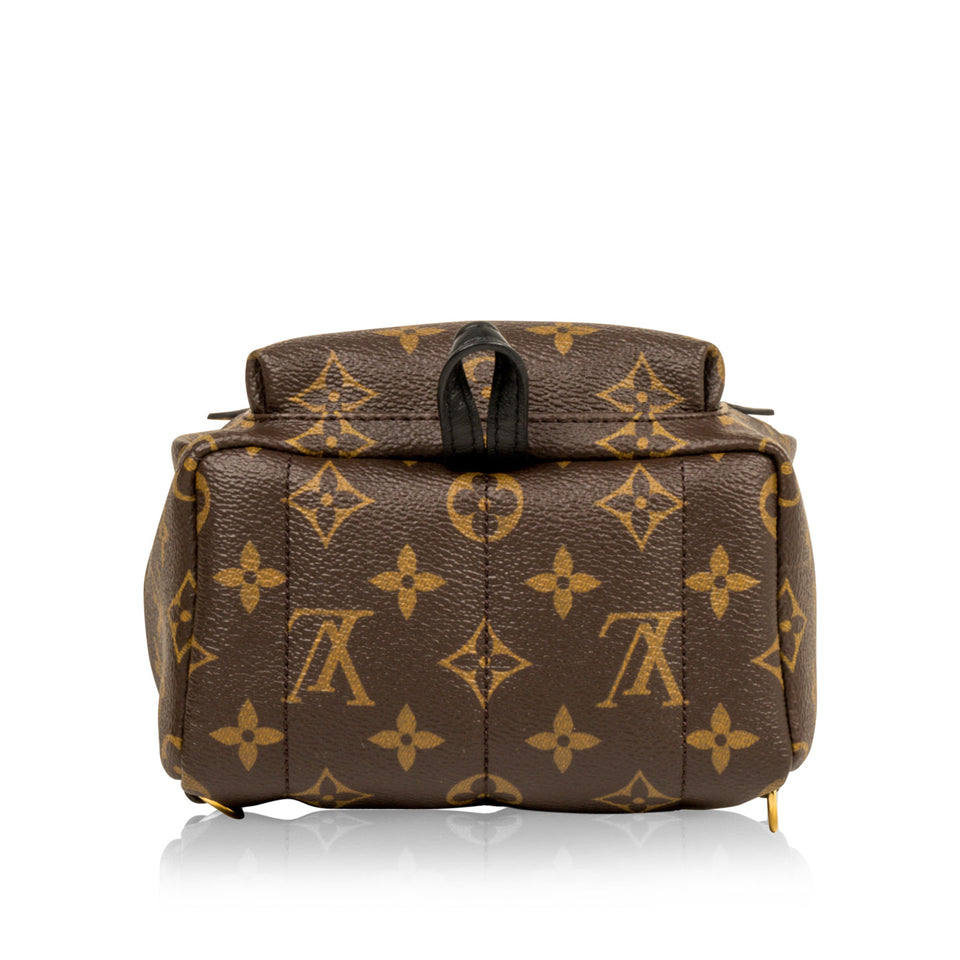 Louis Vuitton Palm Springs Backpack Mini