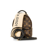 Louis Vuitton Palm Springs Backpack Mini