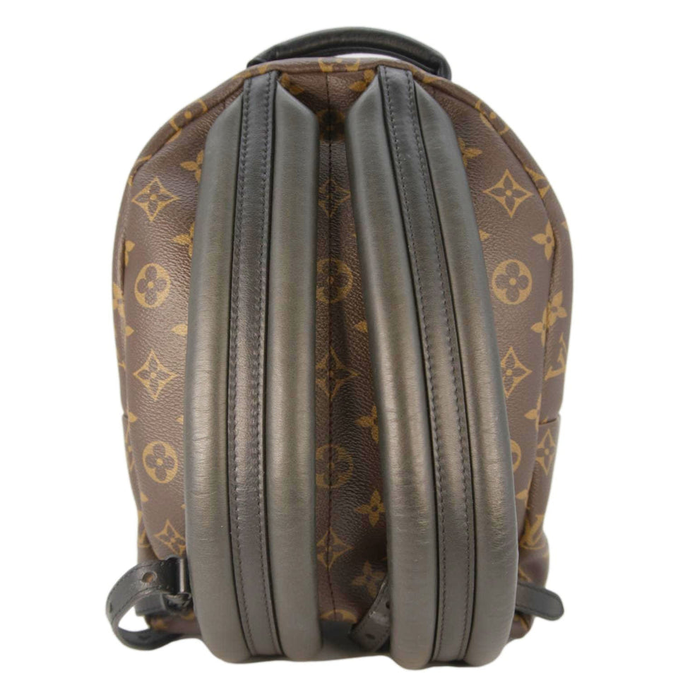 Louis Vuitton Palm Springs PM Monogram Canvas Backpack Brown