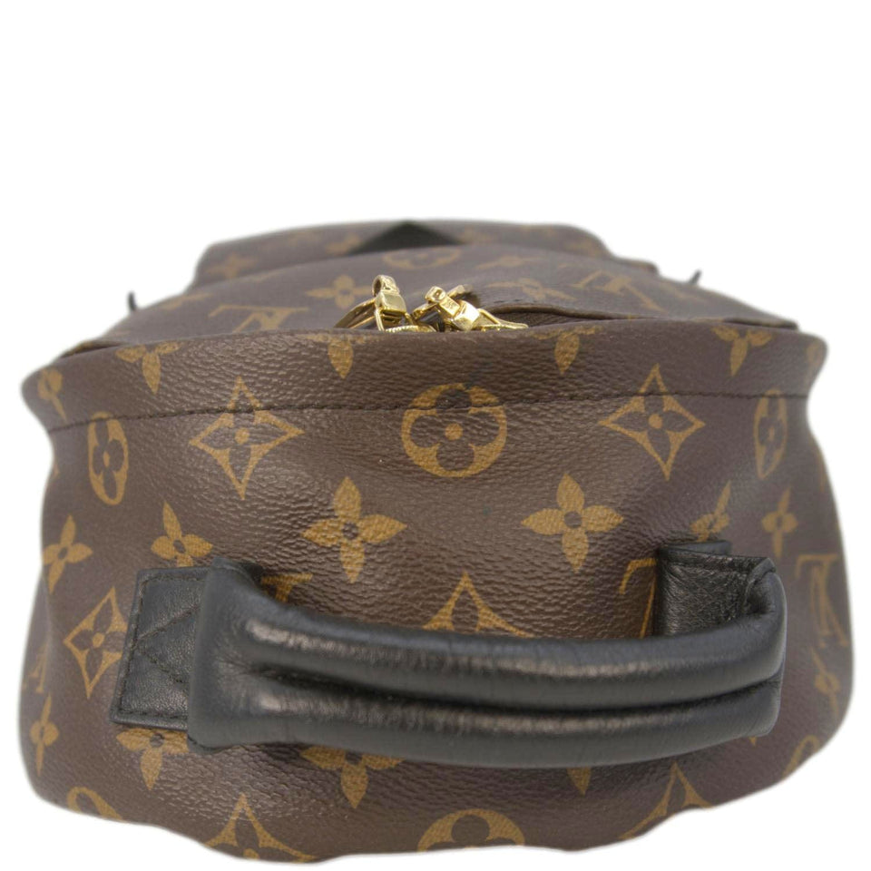 Louis Vuitton Palm Springs PM Monogram Canvas Backpack Brown