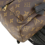Louis Vuitton Palm Springs PM Monogram Canvas Backpack Brown