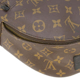 Louis Vuitton Palm Springs PM Monogram Canvas Backpack Brown