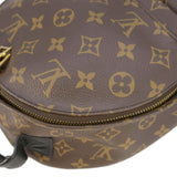 Louis Vuitton Palm Springs PM Monogram Canvas Backpack Brown