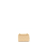 Chanel 22C Pearl Crush  Holder With Chain Beige