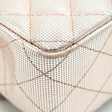 Chanel SEASONAL MEDIUM FLAP BAG IN CHAMPAGNE PINK