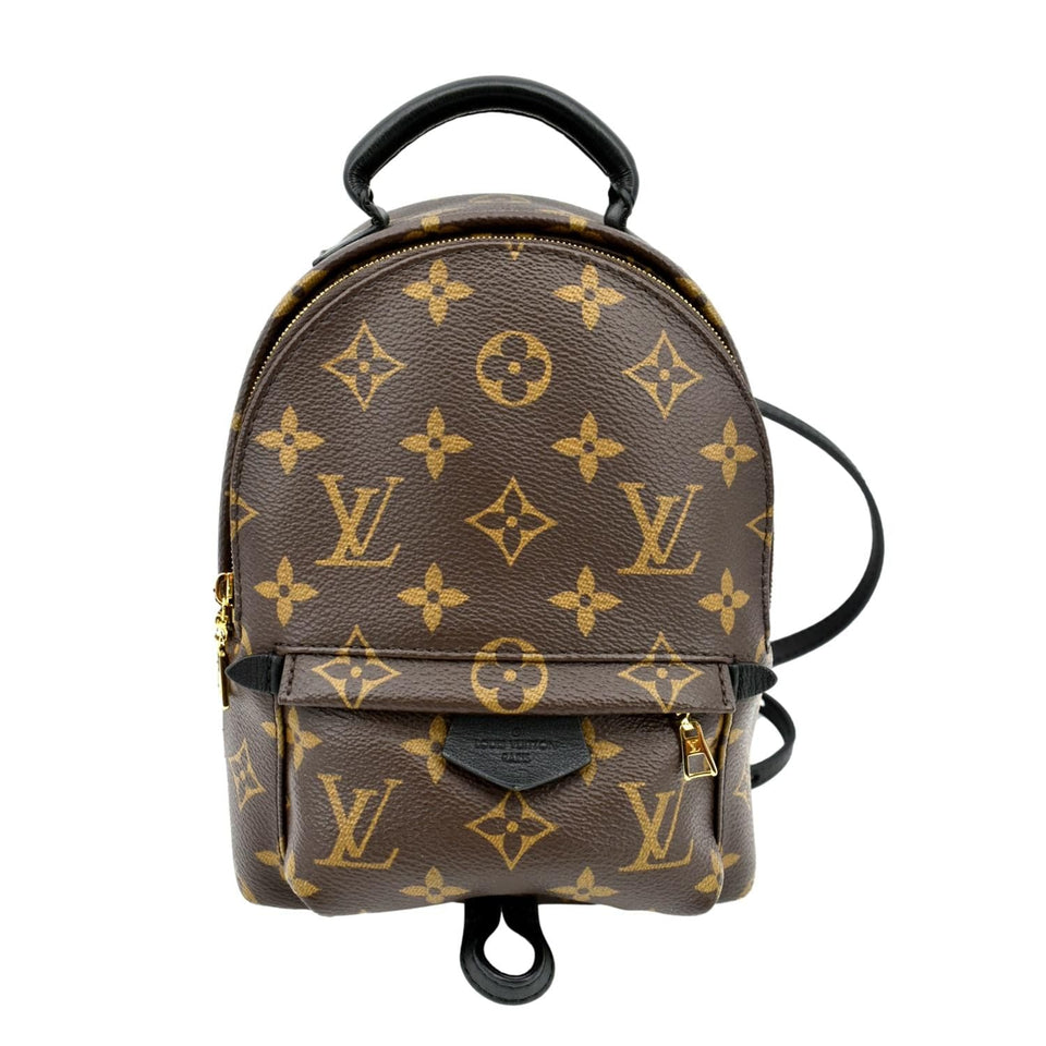 Louis Vuitton Palm Springs Mini Monogram Canvas Backpack Brown
