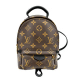 Louis Vuitton Palm Springs Mini Monogram Canvas Backpack Brown