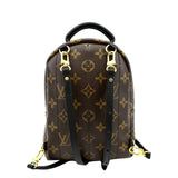 Louis Vuitton Palm Springs Mini Monogram Canvas Backpack Brown