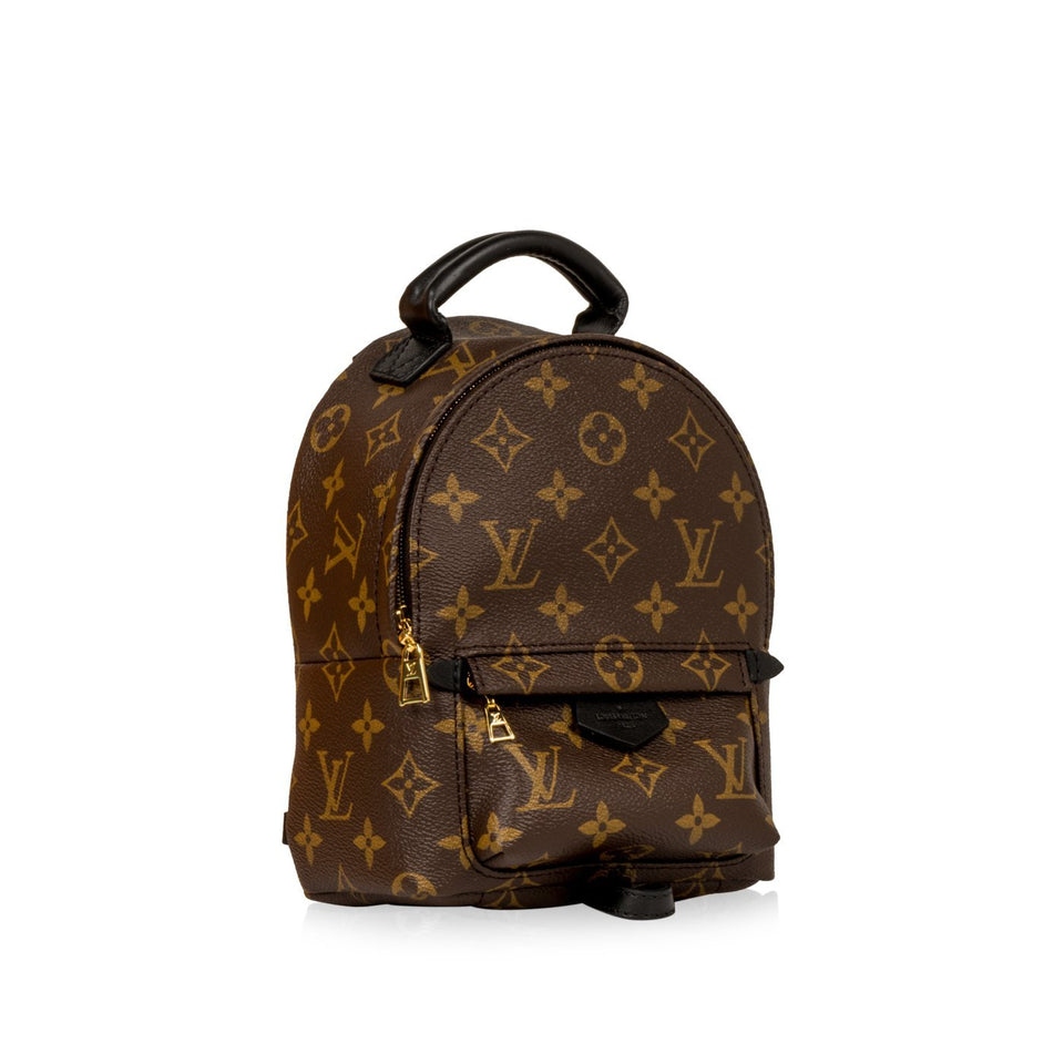 Louis Vuitton Palm Springs Backpack Mini