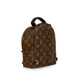 Louis Vuitton Palm Springs Backpack - Mini