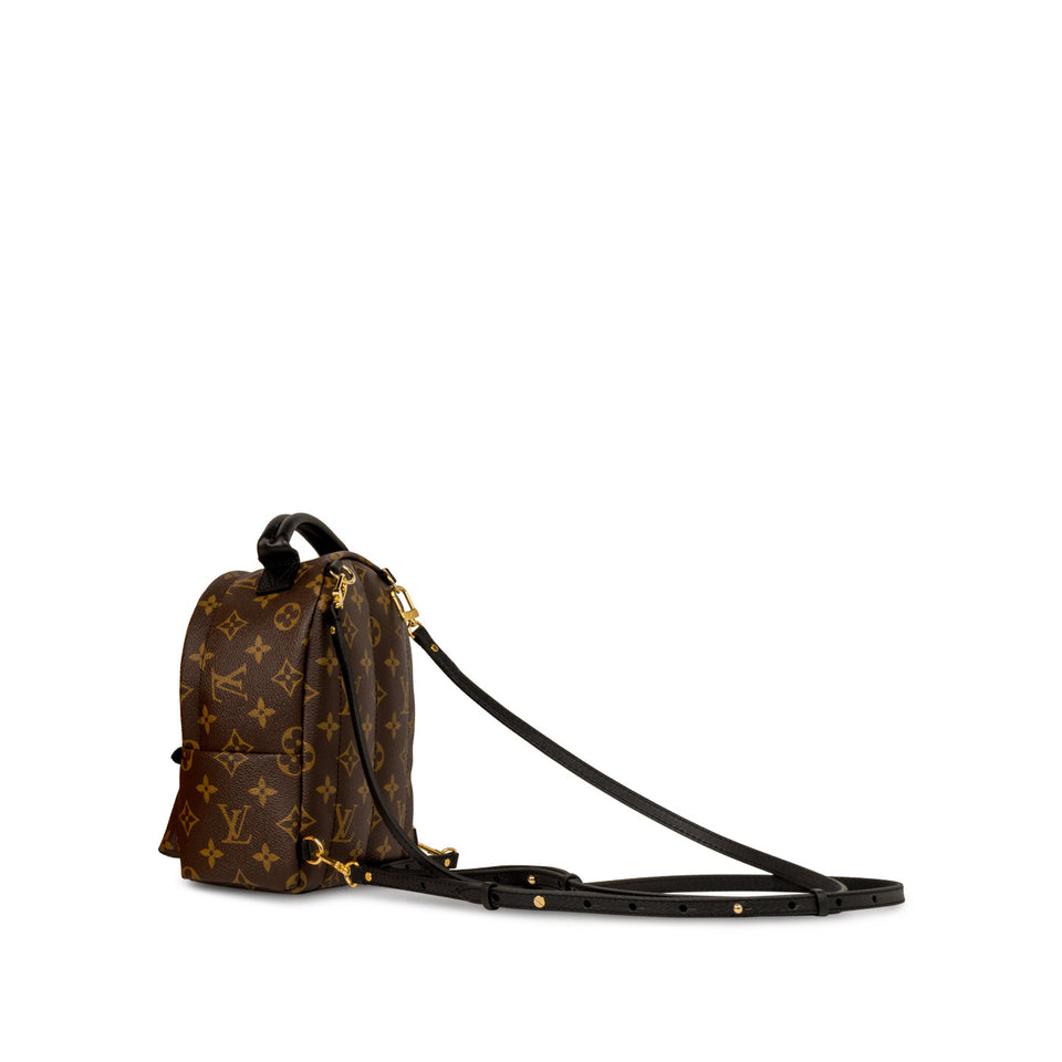 Louis Vuitton Palm Springs Backpack - Mini