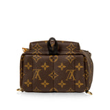 Louis Vuitton Palm Springs Backpack - Mini