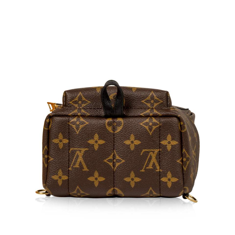 Louis Vuitton Palm Springs Backpack - Mini