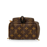 Louis Vuitton Palm Springs Backpack Mini