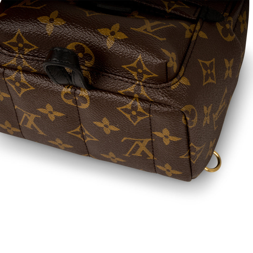 Louis Vuitton Palm Springs Backpack - Mini