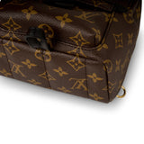 Louis Vuitton Palm Springs Backpack - Mini