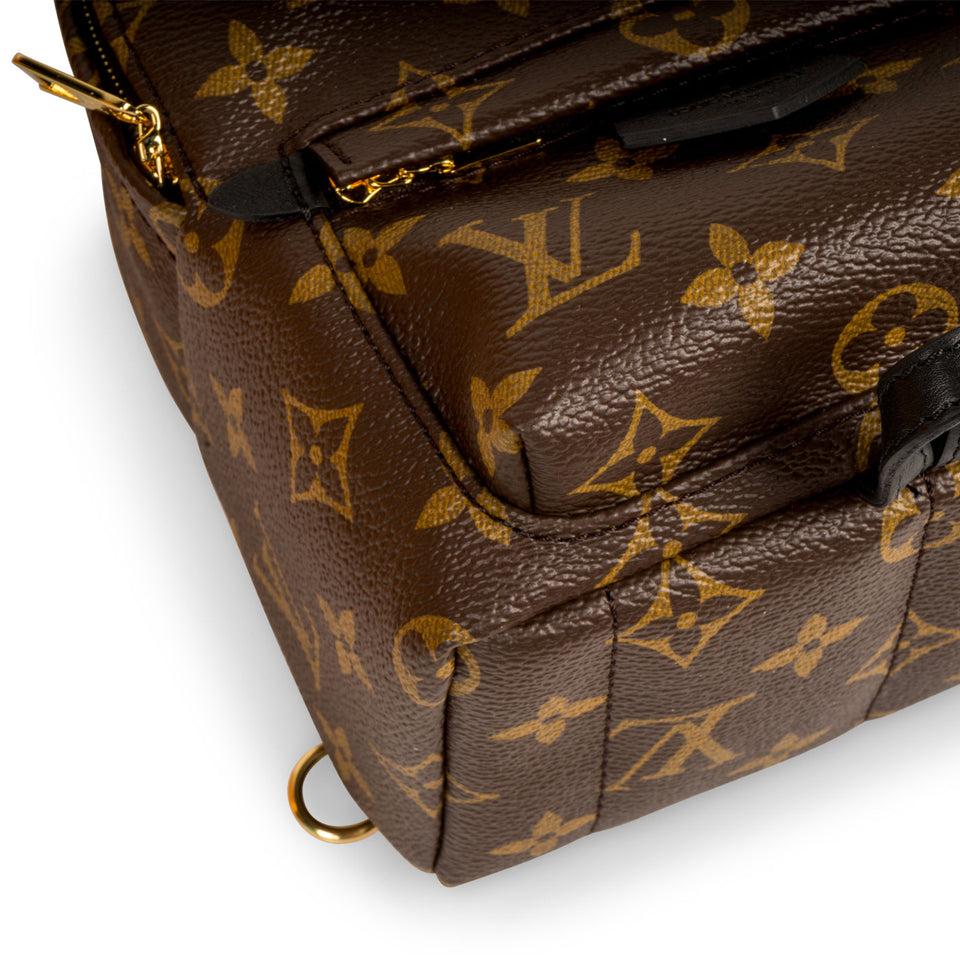 Louis Vuitton Palm Springs Backpack Mini - Monogram Canvas