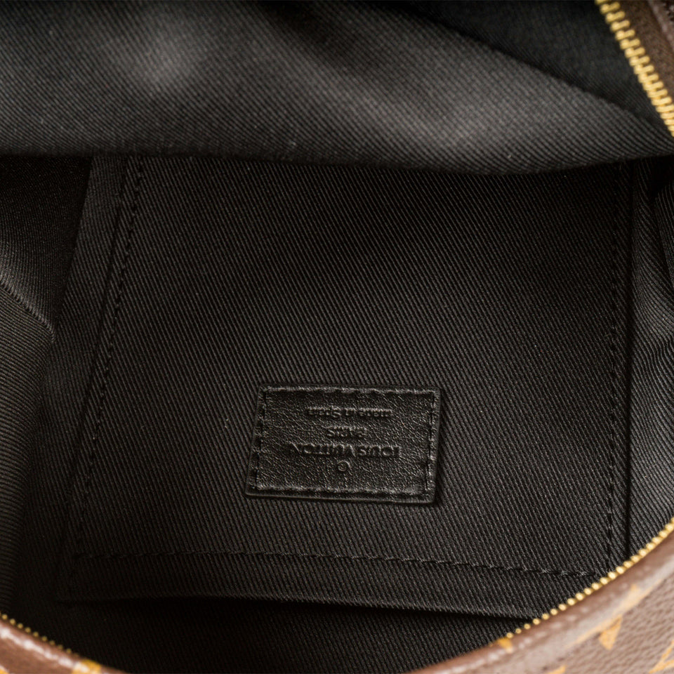Louis Vuitton Palm Springs Backpack - Mini