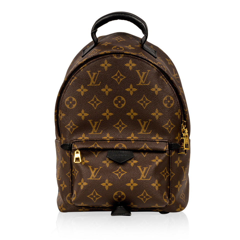 Louis Vuitton Palm Springs Backpack PM