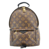Louis Vuitton Palm Springs PM Monogram Canvas Backpack Brown