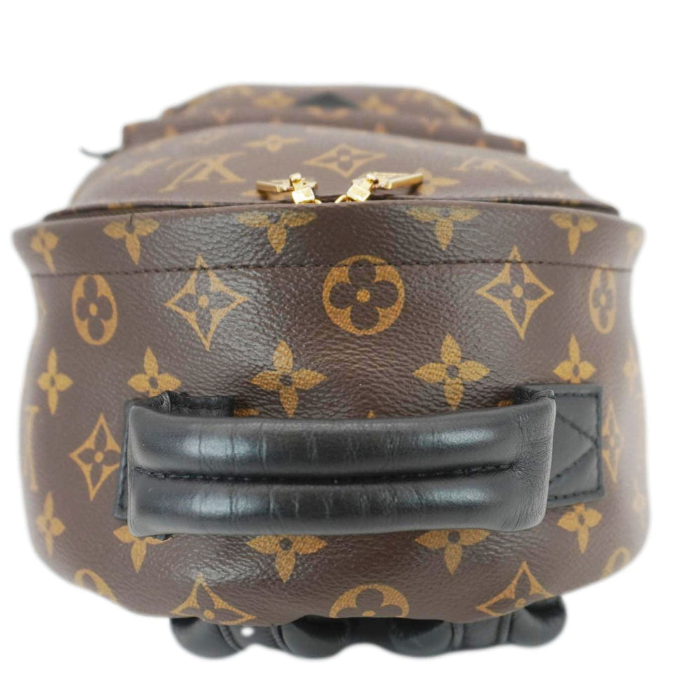Louis Vuitton Palm Springs PM Monogram Canvas Backpack Brown