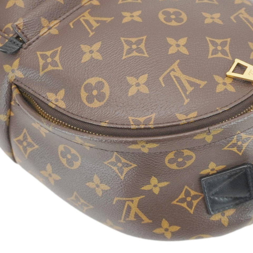 Louis Vuitton Palm Springs PM Monogram Canvas Backpack Brown