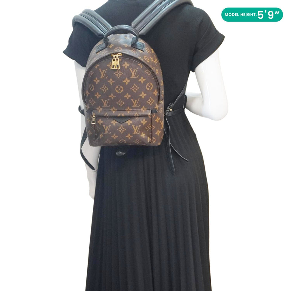 Louis Vuitton Palm Springs PM Monogram Canvas Backpack Brown