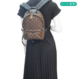 Louis Vuitton Palm Springs PM Monogram Canvas Backpack Brown