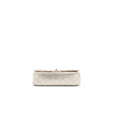 Chanel SEASONAL MEDIUM FLAP BAG IN CHAMPAGNE PINK