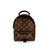 Louis Vuitton Palm Springs Backpack Mini