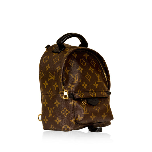 Louis Vuitton Palm Springs Backpack Mini