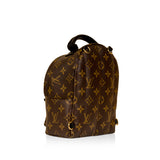 Louis Vuitton Palm Springs Backpack Mini