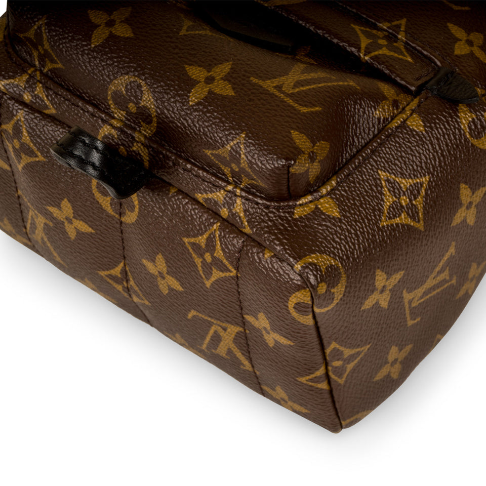 Louis Vuitton Palm Springs Backpack Mini