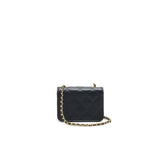 Chanel Small Flap Bag with Calfskin, Pearl , Resin Black