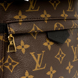 Louis Vuitton Palm Springs Backpack PM