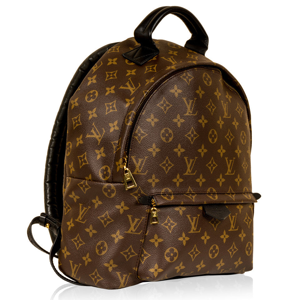 Louis Vuitton Palm Springs Backpack MM