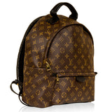 Louis Vuitton Palm Springs Backpack MM