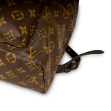 Louis Vuitton Palm Springs Backpack MM