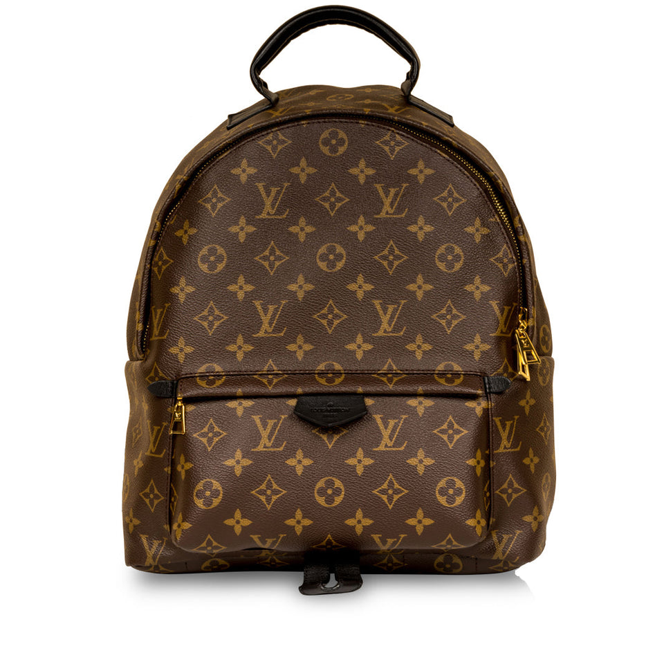 Louis Vuitton Palm Springs Backpack MM
