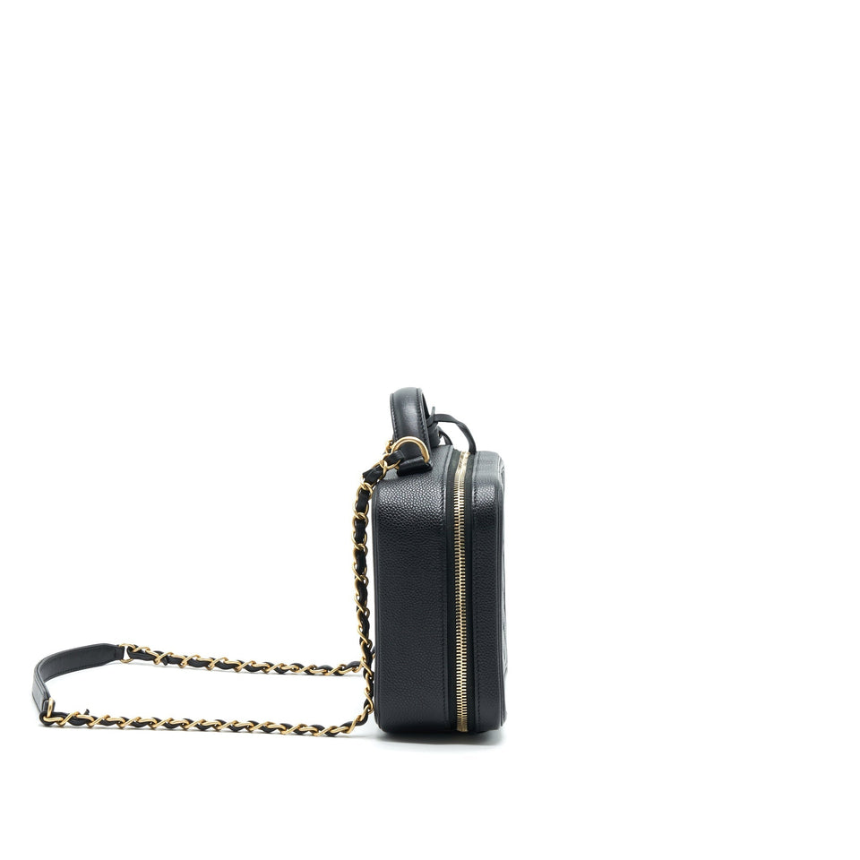 Chanel Cavia Leather Vanity Bag Black