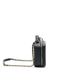 Chanel Cavia Leather Vanity Bag Black