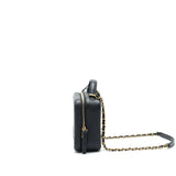 Chanel Cavia Leather Vanity Bag Black